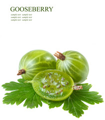 Fresh gooseberries on a white background (with sample text)