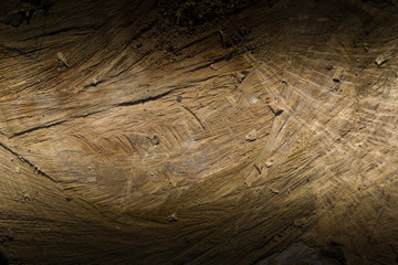 wood grungy background with space for text