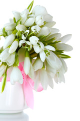 beautiful bouquet of snowdrops in vase with bow isolated