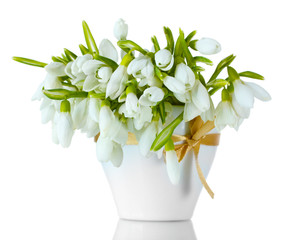 beautiful bouquet of snowdrops in vase with bow isolated