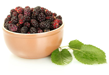 Ceramical bowl with ripe mulberries isolated on white close-up