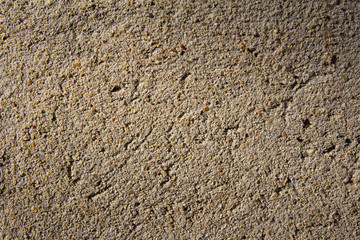 concrete wall as a backdrop