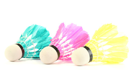 Obraz premium bright feather shuttlecocks isolated on white