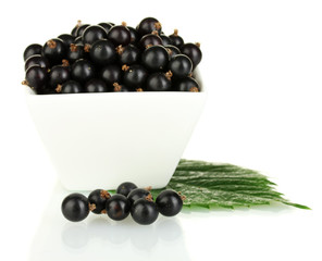 Fresh black currant in white bowl isolated on white