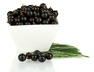 Fresh black currant in white bowl isolated on white