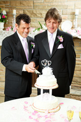 Gay Wedding - Grooms Cut Cake
