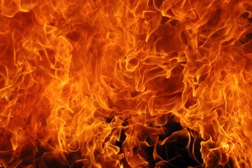 Fototapeta premium Flames
