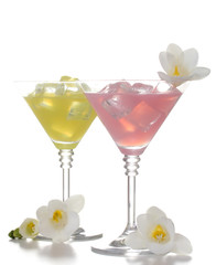 martini glasses of cocktails with ice and flowers isolated
