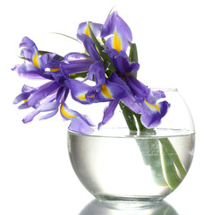 Beautiful bright irises in vase isolated on white © Africa Studio