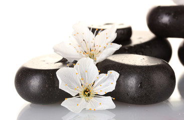 Black spa stones with flowers and petals isolated