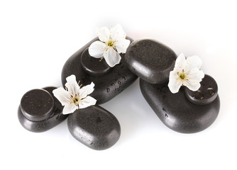 Obraz na płótnie Canvas Black spa stones with flowers and petals isolated