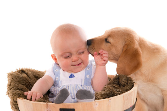 b&eacute;b&eacute; qui joue avec son chiot