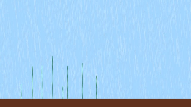 Growing flower