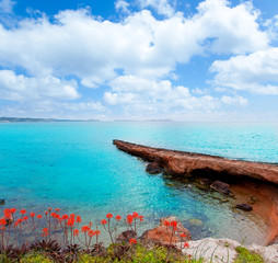 Ibiza San antonio Abad Sant Antoni de Portmany © lunamarina