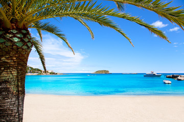 Fototapeta na wymiar Ibiza Patja des Canar plaża z turkusową wodą