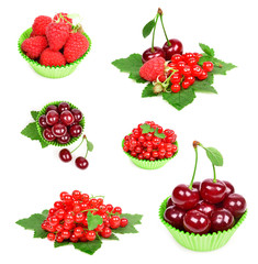 fresh berries in paper form on white background collage