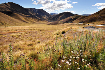 Landscape View of South Island, New Zealand