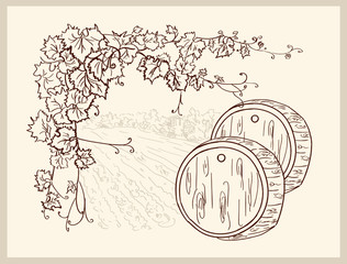 Hand drawn vineyard
