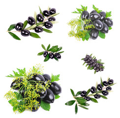 Black olives with green leaves isolated white background