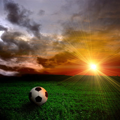 ball on the field
