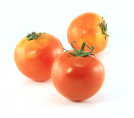 tomatoes isolated on white background