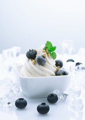 Frozen Blueberry Joghurt