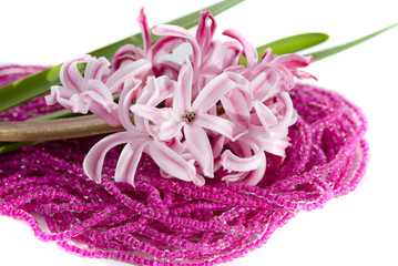 гиацинт и бусы