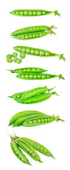 Collection of fresh green peas on white
