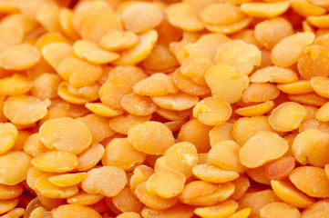Yellow Lentil