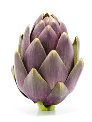 Fototapeta premium Artichoke Fruit on White