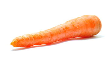 Single Carrot