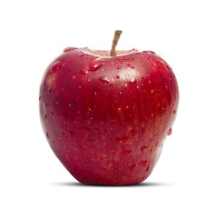 Fresh Red Apple