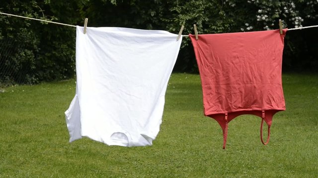 Shirts an der Leine