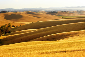 Fototapeta na wymiar Krajobraz wsi w Toskanii regionu Włoch