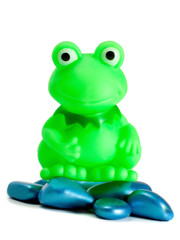 Frog toy