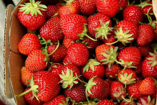 Red juicy strawberries with stems in a basket