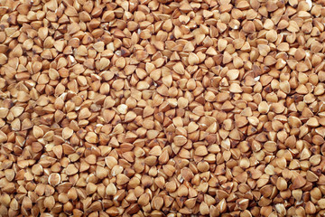 Buckwheat seeds
