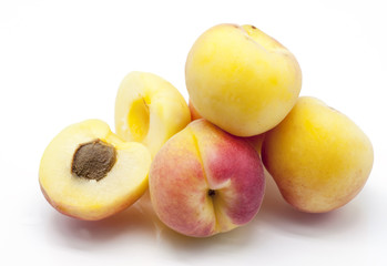 Apricot