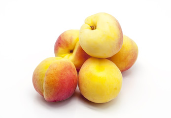 Apricot