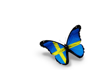 Swedish flag butterfly, isolated on white background