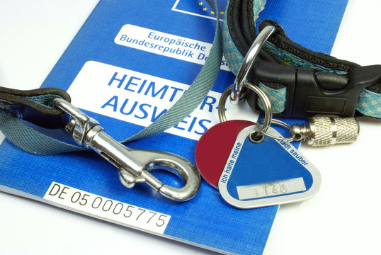 Halsband und Ausweis