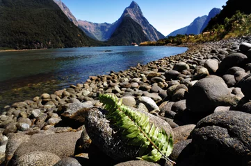 Foto op Plexiglas New Zealand Fiordland © Rafael Ben-Ari