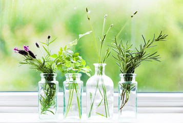 Jars of fresh herbs on window cill