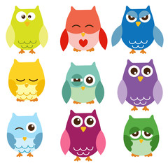 Isolated owls
