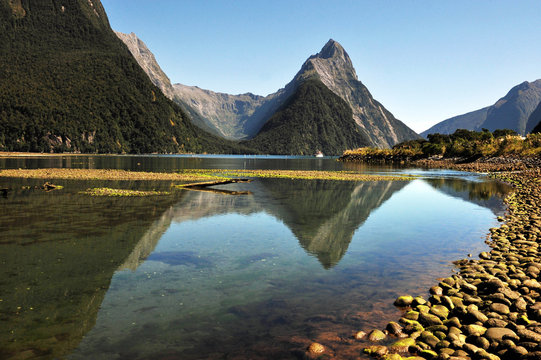 New Zealand Fiordland