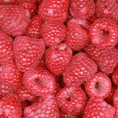 Himbeeren