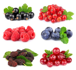 Collection of sweet  berries