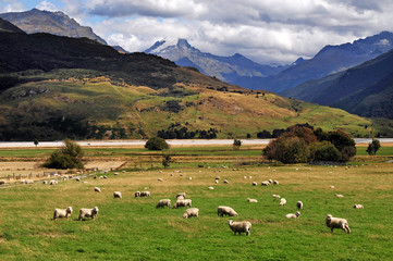 Boerderij Zuidereiland Nieuw-Zeeland