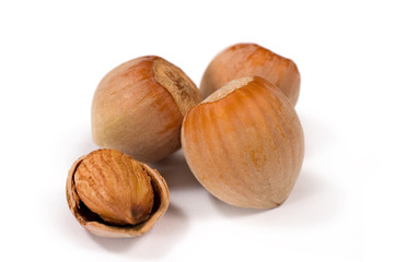 hazelnuts on a white background