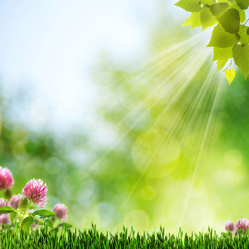 Summer Morning. Abstract natural wallpaper